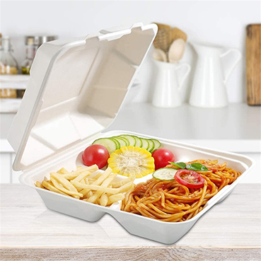 Bagasse food containers