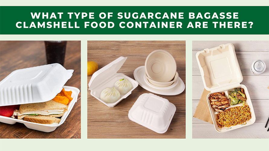 Какие типы пищевых контейнеров-раскладушек из сахарного тростника существуют?