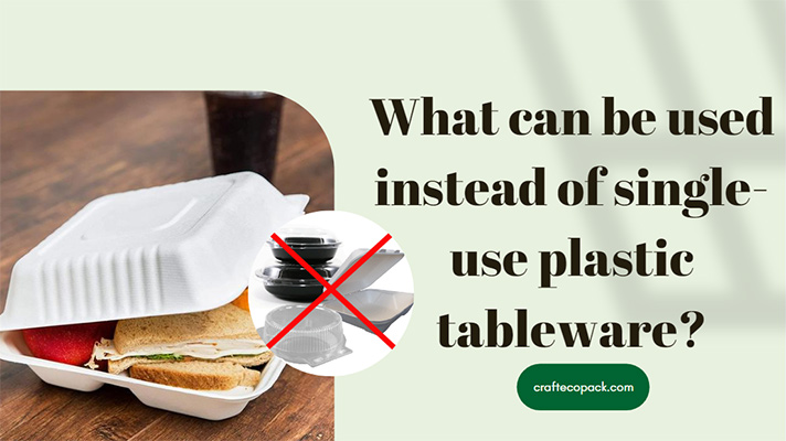 Что можно использовать вместо одноразовой пластиковой посуды?
